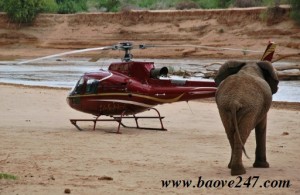 Voi ß Samburu ti¿p c­n trñc thng cça Ùi céu hÙ ¢nh: AFP